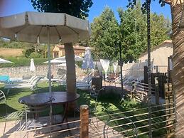 Gatto Bianco Tizzauli