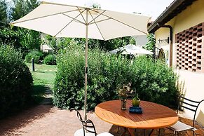 Gatto Bianco Tizzauli