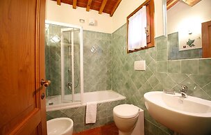 Gatto Bianco Tizzauli