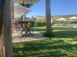 Gatto Bianco Tizzauli