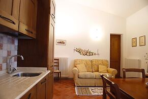 Gatto Bianco Tizzauli