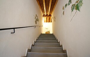 Gatto Bianco Tizzauli