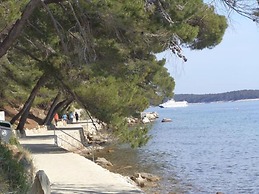 The Location of the House is on an Island Rab , Tourist Resort Mali Pa