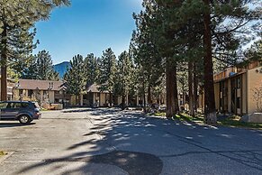 Horizons Bliss - Near Year-round Activities!