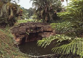Puerto Quito Lodge