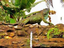Puerto Quito Lodge - Las Iguanas