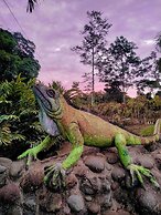 Puerto Quito Lodge - Las Iguanas