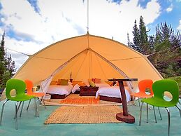 Glampwild Zaquencipa