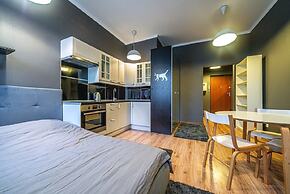 Loft Petrograd Apartment 2