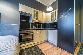 Loft Petrograd Apartment 2