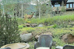 Fox Crossing Luxury Home