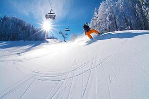 Pohorje Village Wellbeing Resort – Forest Hotel Videc