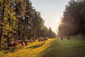 Pohorje Village Wellbeing Resort – Forest Hotel Videc
