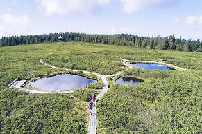 Pohorje Village Wellbeing Resort – Forest Hotel Videc