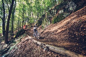 Pohorje Village Wellbeing Resort – Forest Hotel Videc