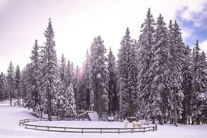 Pohorje Village Wellbeing Resort – Forest Hotel Videc