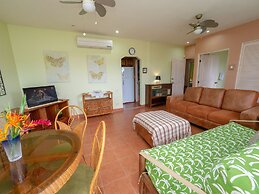 Charming Mountain View Alta Vista