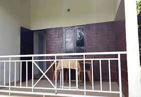 The Big Cat Den Resort