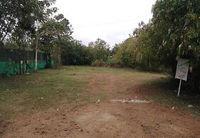 The Big Cat Den Resort