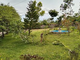 The Big Cat Den Resort