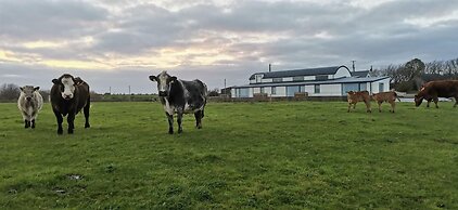 Luxury Villa Six Suites Private Path to Sea