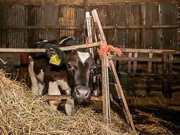 Manor House Farm Cottage