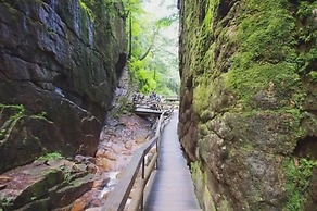 Stunning Mountain Retreat in Campton, Perfect for Skiing and Year-Roun