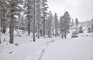 St. Anton Wooded View 2-bedroom Condos w/ Ski Lockers