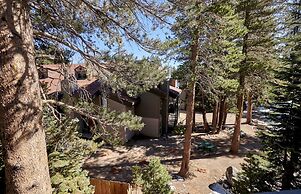 St. Anton Wooded View 2-bedroom Condos w/ Ski Lockers