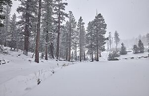 St. Anton Wooded View 1-bedroom Condos w/ Complimentary Hot Drinks