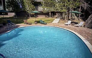 St. Anton Wooded View 1-bedroom Condos w/ Complimentary Hot Drinks