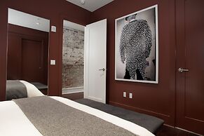 Roami at The Luzianne