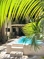 Macondo Raíz Holbox