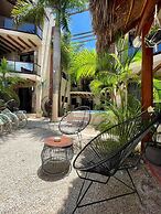 Macondo Raíz Holbox