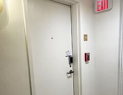 Roami at The Carmela