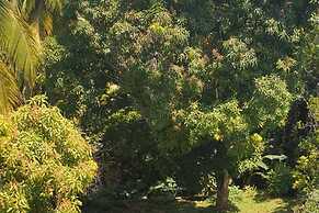 3-bed House Sleeps 6 With Mountain Views