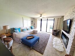 Sand Dollar 101