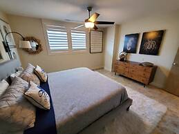 Sand Dollar 101