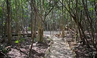 Aldea Maya-Ha Cabañas con cenotes