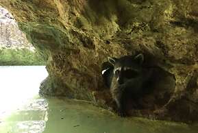 Aldea Maya-Ha Cabañas con cenotes