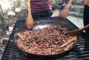 Aldea Maya-Ha Cabañas con cenotes