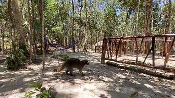 Aldea Maya-Ha Cabañas con cenotes