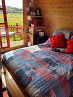 Lovely Glamping Dream Pod in St Austell, Cornwall