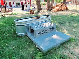 Mountain Springs Motel