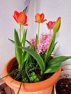 Impeccable Apartment With View in Dolna Matka