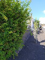Under The Volcano In Playa Blanca
