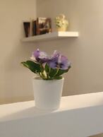 Casa Vacanze Angelica