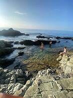 Tropical Ivy - a Peaceful Getaway in St Maarten