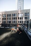 Level Seattle Downtown - South Lake Union