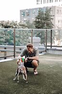 Level Seattle Downtown - South Lake Union